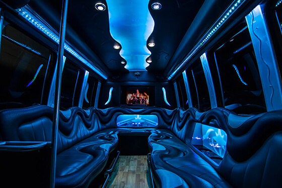 luxury minibus